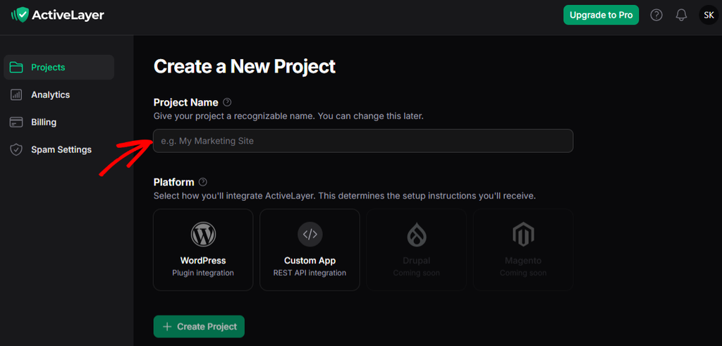 project name
